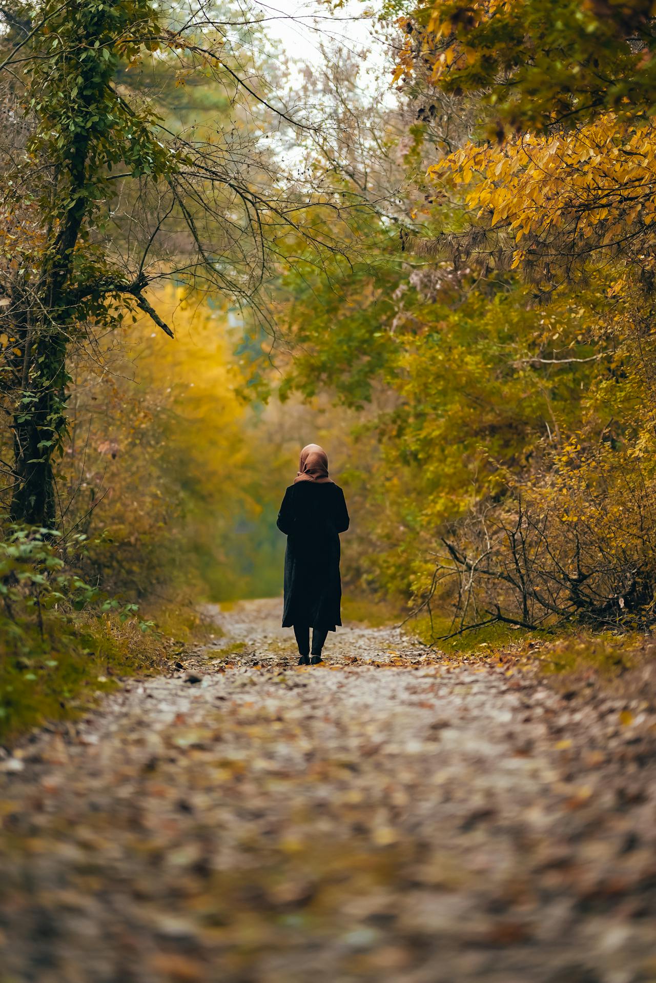 A woman walking alone on a wooded path at sunrise, surrounded by soft light, facing forward with quiet strength.